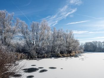 Bare trees on snow covered landscape against sky