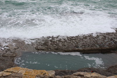 Scenic view of sea shore