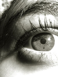 Close up of human eye