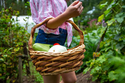 Faceless woman keeps basket with fresh vegetables in her garden