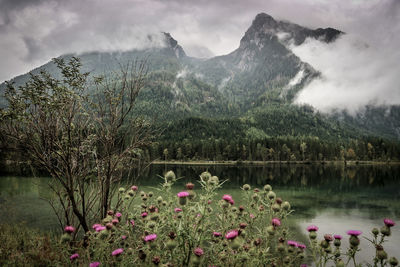 Scenic view of lake and mountains against sky