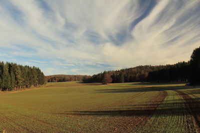 Scenic view of field against sky