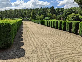 Footpath amidst trees on field against sky