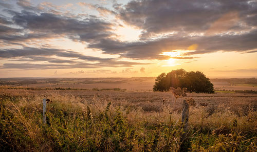 Scenic view of field against sky during sunset