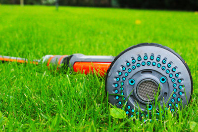 Close-up of coin on grass in field
