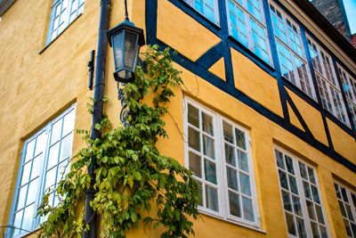 Low angle view of yellow building