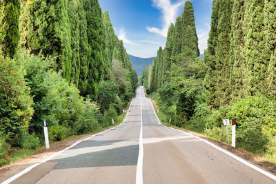 Road amidst trees against sky