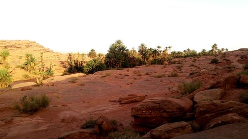 Scenic view of landscape against clear sky