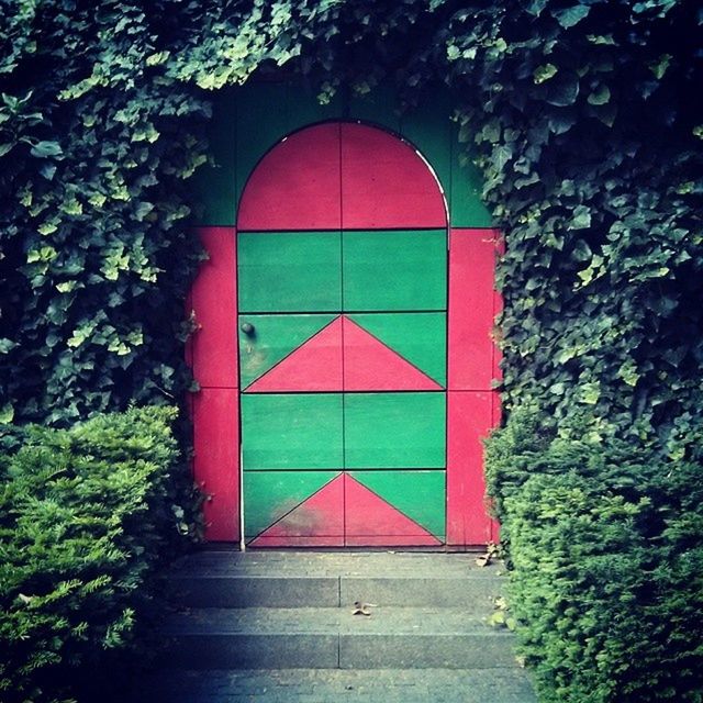 green color, closed, built structure, architecture, window, building exterior, red, door, entrance, multi colored, tree, safety, protection, day, plant, house, no people, arch, wall - building feature, growth