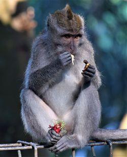 Young man eating outdoors