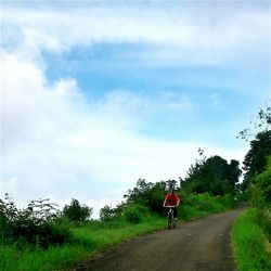 Road passing through landscape