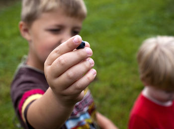 Close-up of boy holding blueberry