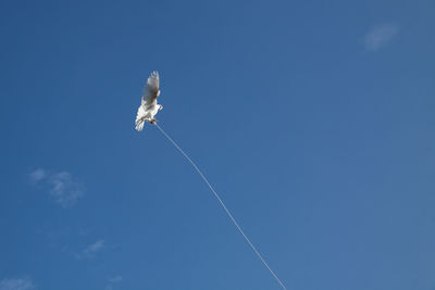 Low angle view of birds flying against blue sky