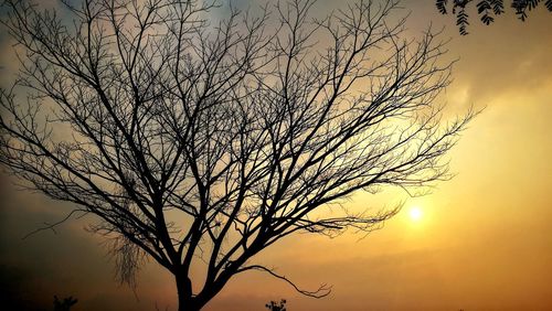 Low angle view of silhouette bare tree against sky at sunset