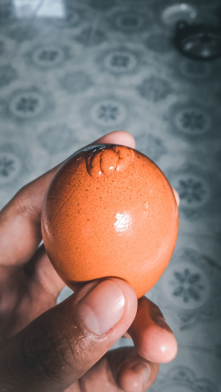 hand, holding, close-up, one person, macro photography, egg, food and drink, indoors, food, finger, wellbeing, focus on foreground, orange, healthy eating, orange color