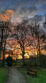 Empty bench on field at sunset