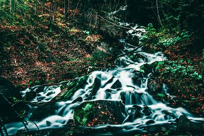 Close-up of waterfall in forest