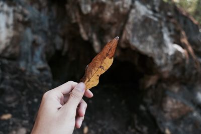 Close-up of young man holding tree trunk