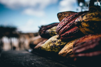 Close-up of cacao on table