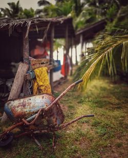 Close-up of rusty hanging on tree