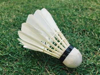 High angle view of shuttlecock on grassy field
