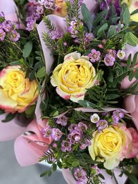 Close-up of pink roses