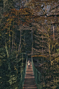 Rear view of people walking on footbridge in forest