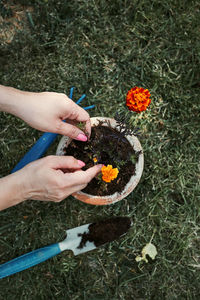 Cropped hands with potted plant in yard