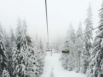 Ski lift amidst snow covered trees during foggy weather