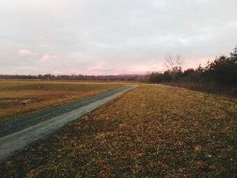 VIEW OF FIELD AGAINST CLOUDY SKY