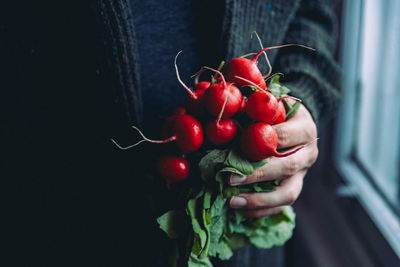 Midsection of person holding radishes at home