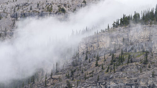 Detail of the rocky mountain with mist. canadian rockies in kananaskis,alberta, canada