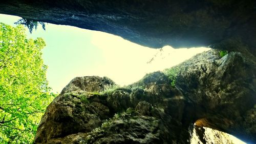 Low angle view of rocks in forest against sky