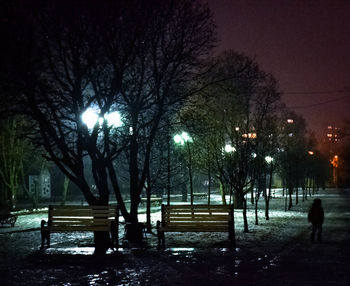 Illuminated trees against sky at night