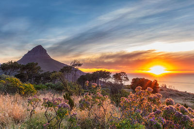 Scenic view of landscape against sky during sunset