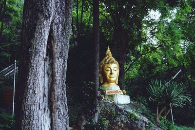 Statue of buddha against tree trunk