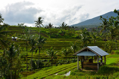Scenic view of green landscape against cloudy sky