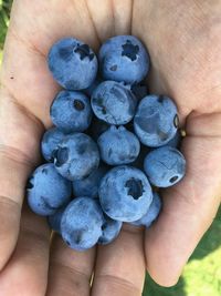 Close-up of hand holding fruit