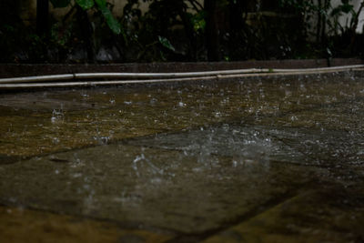 Close-up of water splashing in lake during rainy season