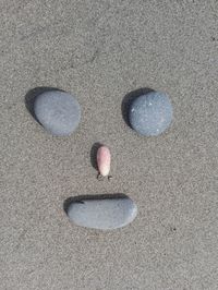 High angle view of anthropomorphic face made from pebbles on sand at beach