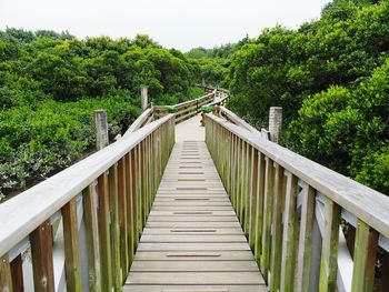 Footbridge over trees against sky