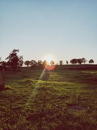 Scenic view of field against clear sky