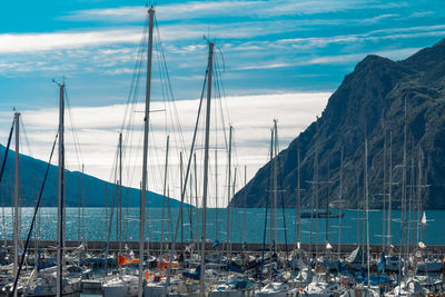 Sailboats moored at harbor against sky