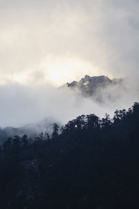 Silhouette trees and mountains against sky