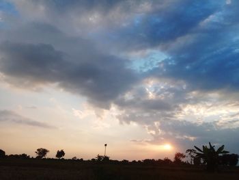 Silhouette trees on field against sky at sunset