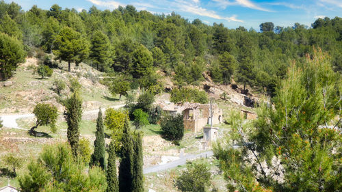 High angle view of trees and plants against sky