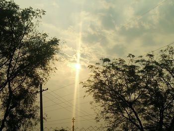 Low angle view of silhouette trees against sky