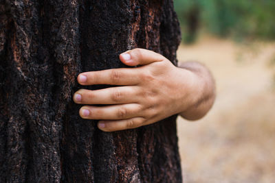 Cropped hand of man embracing tree