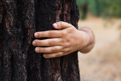 Close-up of hands holding tree trunk