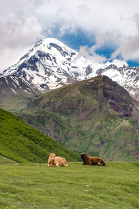 Scenic view of snowcapped mountains against sky